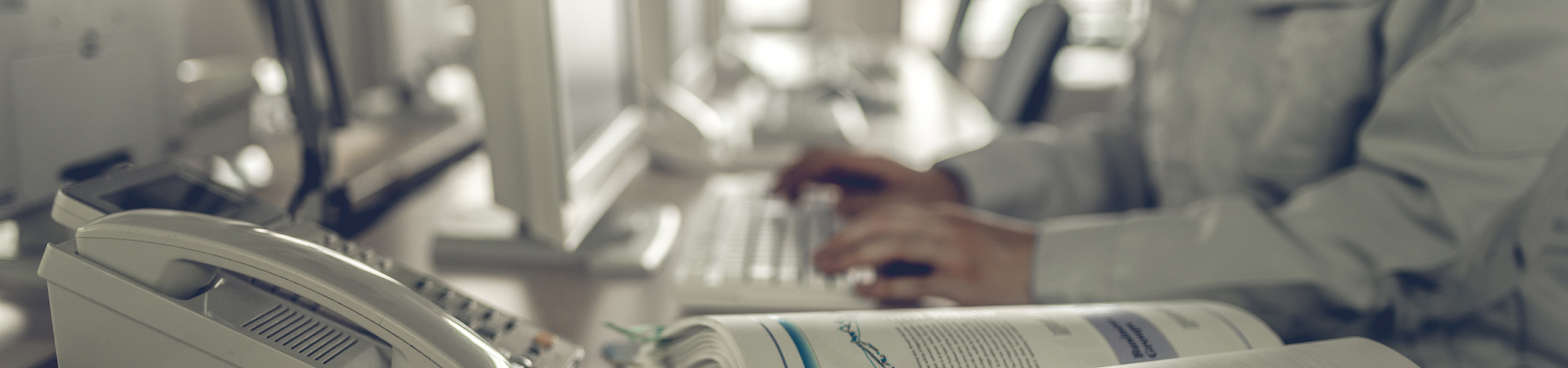 庭石をお探しの方へ 商社・問屋の方