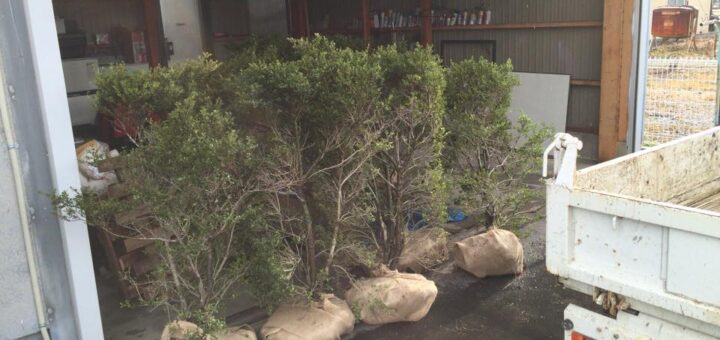 石積みのセットバック工事