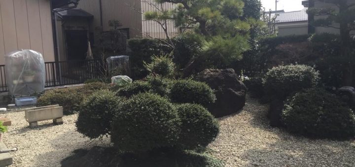 庭石・庭木の一部撤去