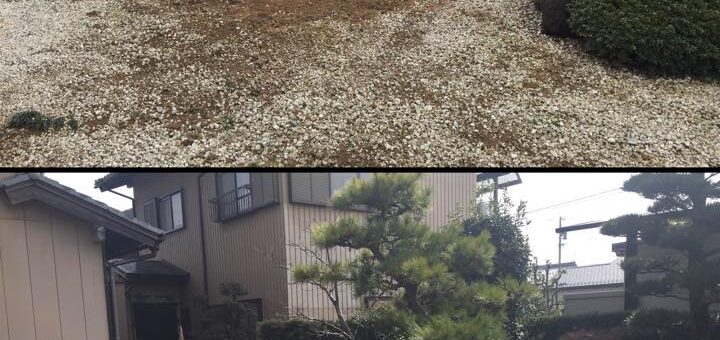 庭石・庭木撤去工事