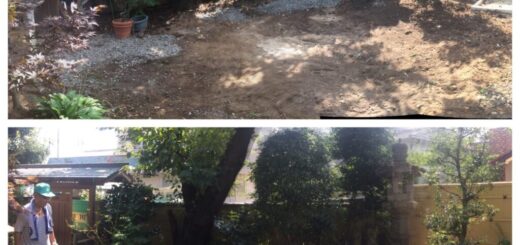 名古屋・千種の芝張り工事   ー揖斐川庭石センターblogー