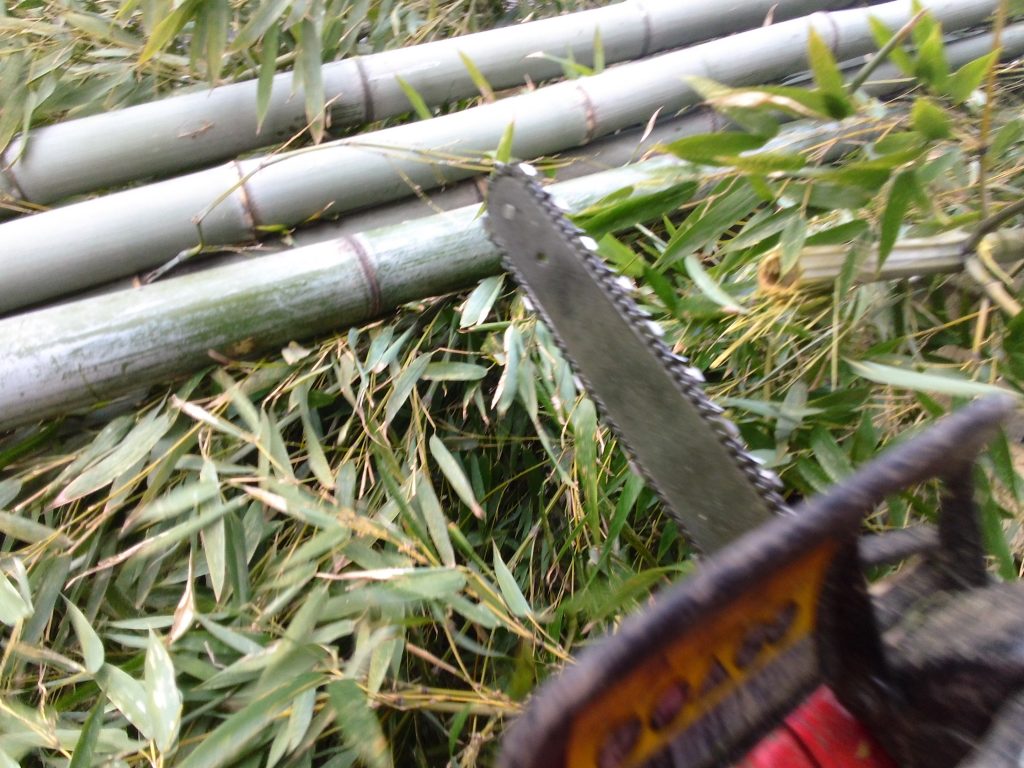 ミニチェーンソー