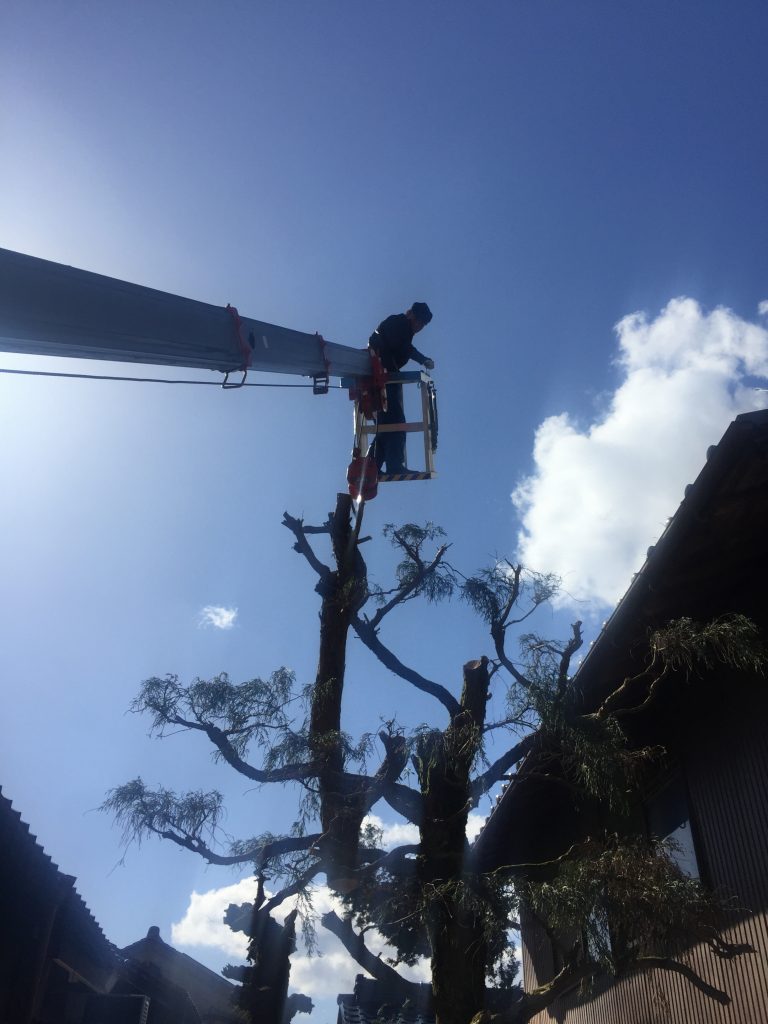 「伐採伐根工事のお手伝い 5日目」 ー揖斐川庭石センターblogー 7 ゴンドラ