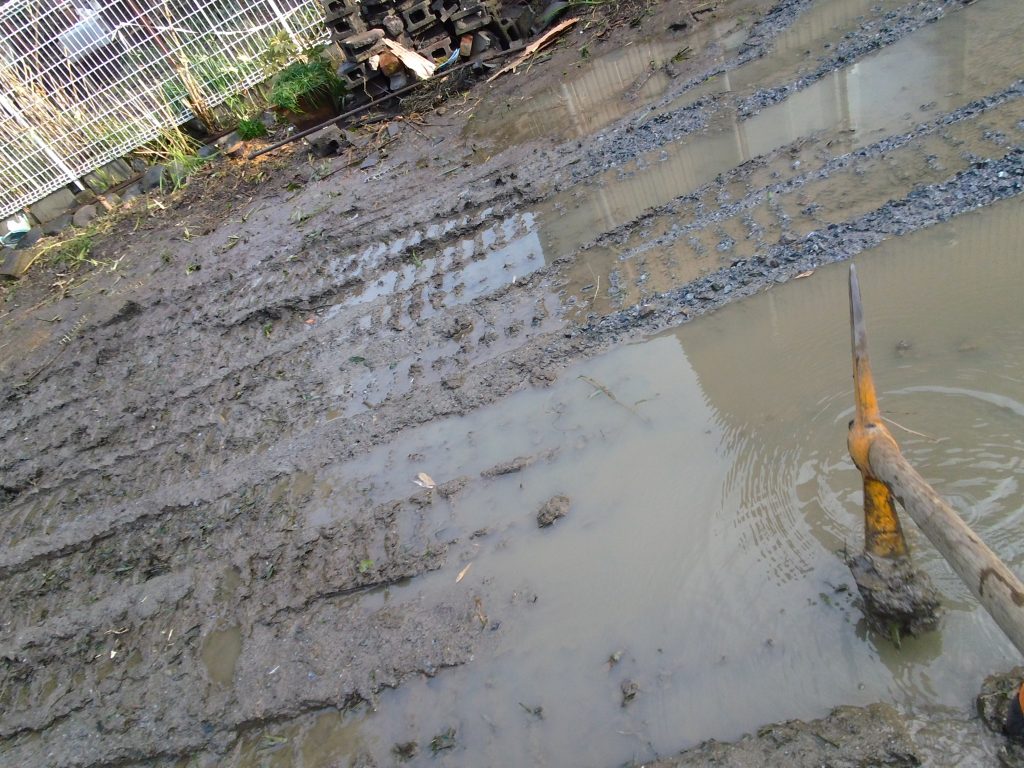 「伐採伐根工事のお手伝い 5日目」 ー揖斐川庭石センターblogー 1 水たまり