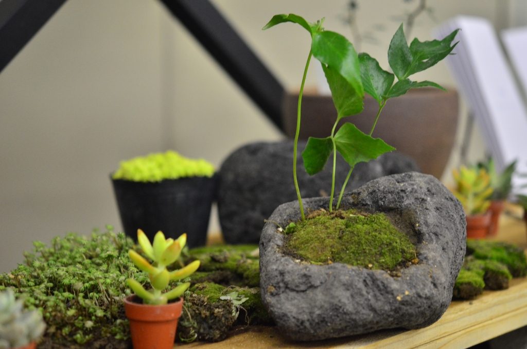 溶岩石プランター