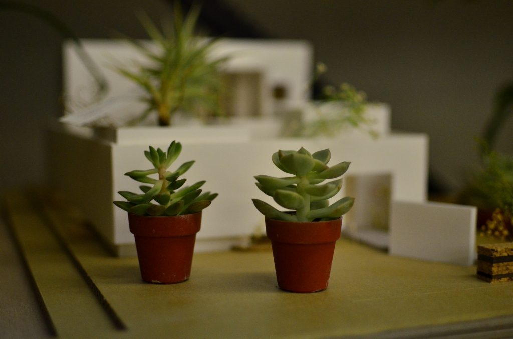住宅模型と多肉植物
