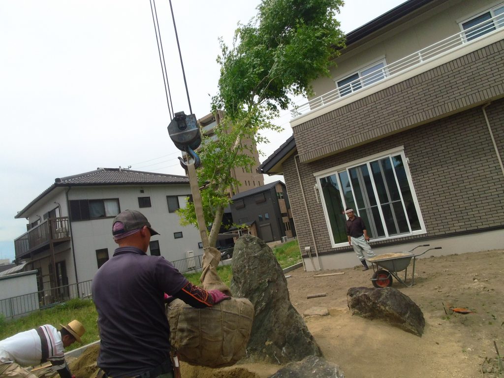 石組みの造園工事のお手伝い ー揖斐川庭石センターblogー 11 モミジ