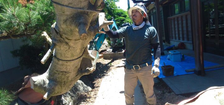 和風門のある邸宅の庭木・庭石の撤去工事 4日目(岐阜県)   ー揖斐川庭石センターblogー