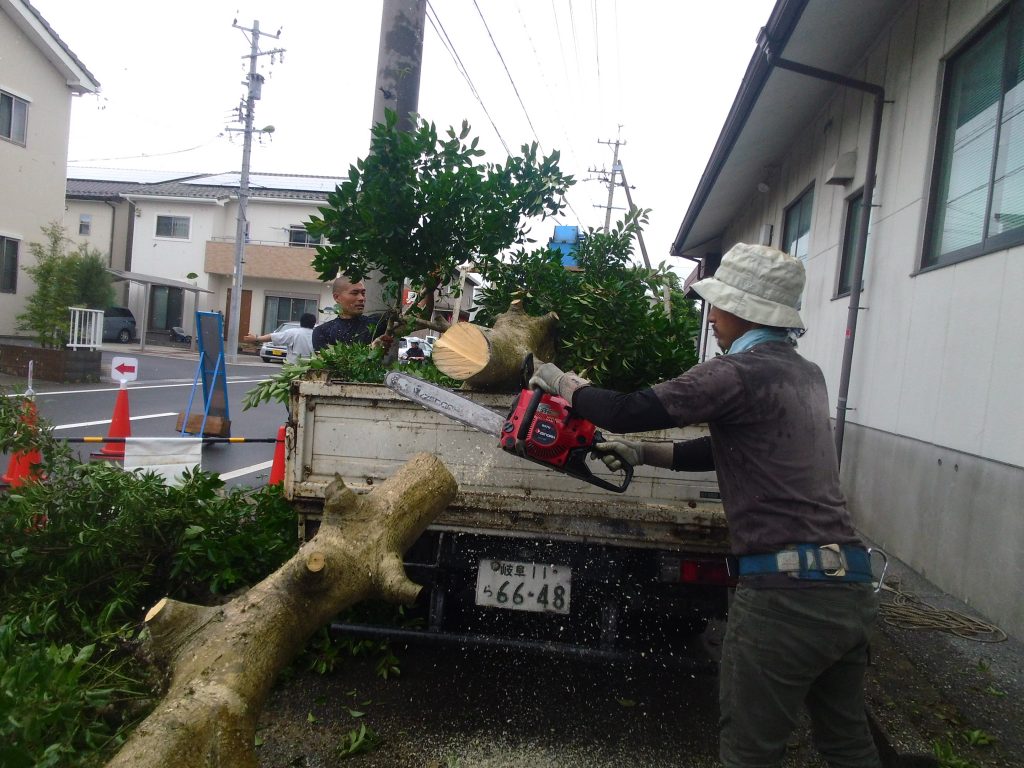 和風門のある邸宅の庭木・庭石の撤去工事 5日目 ー揖斐川庭石センターblogー 9 IMG 2032