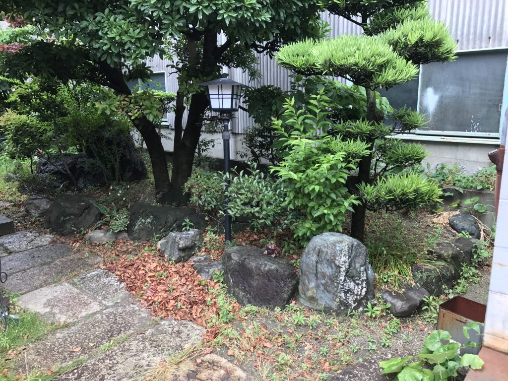 解体前のお庭