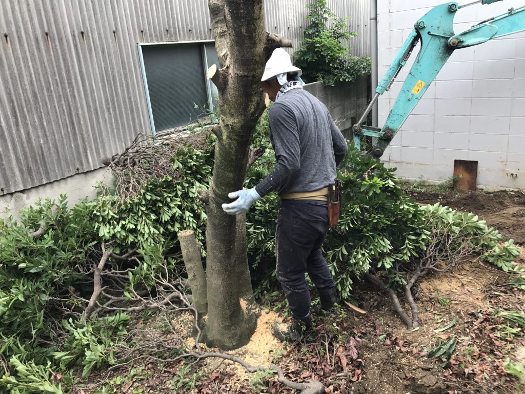 チェーンソーで切り刻んで、運びやすくしてます