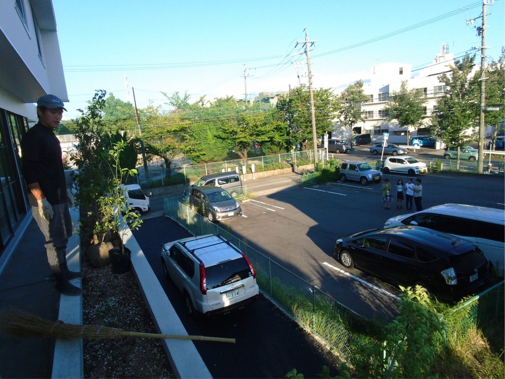 常緑ヤマボウシを植栽