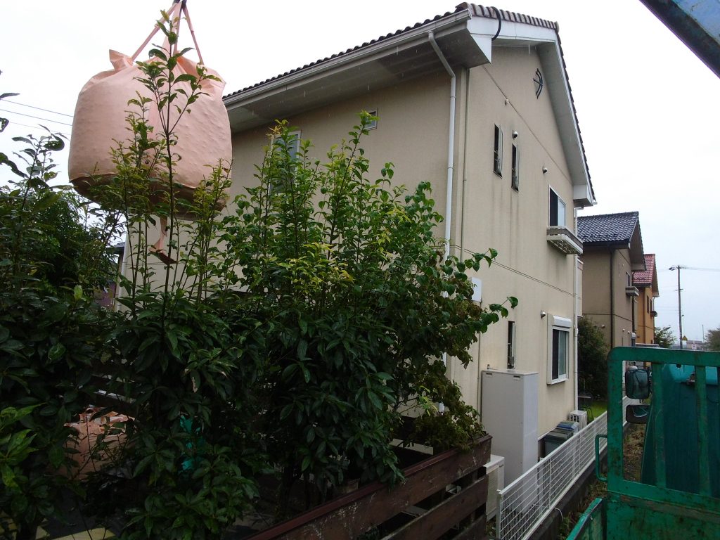 3mくらいの高さの樹木の上を越していきます