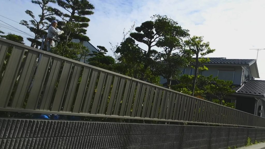 剪定してる庭師さんが、見たことあるので近寄ってみた