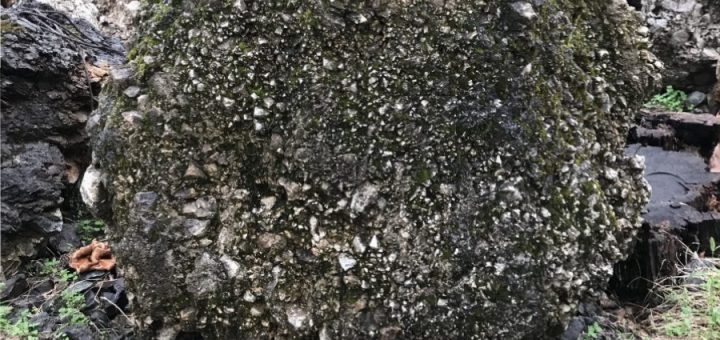 岐阜・愛知のDIY好き必見！知れば楽しくなる様々な庭石の種類！