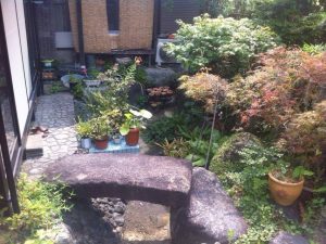 石橋が掛けてある池です