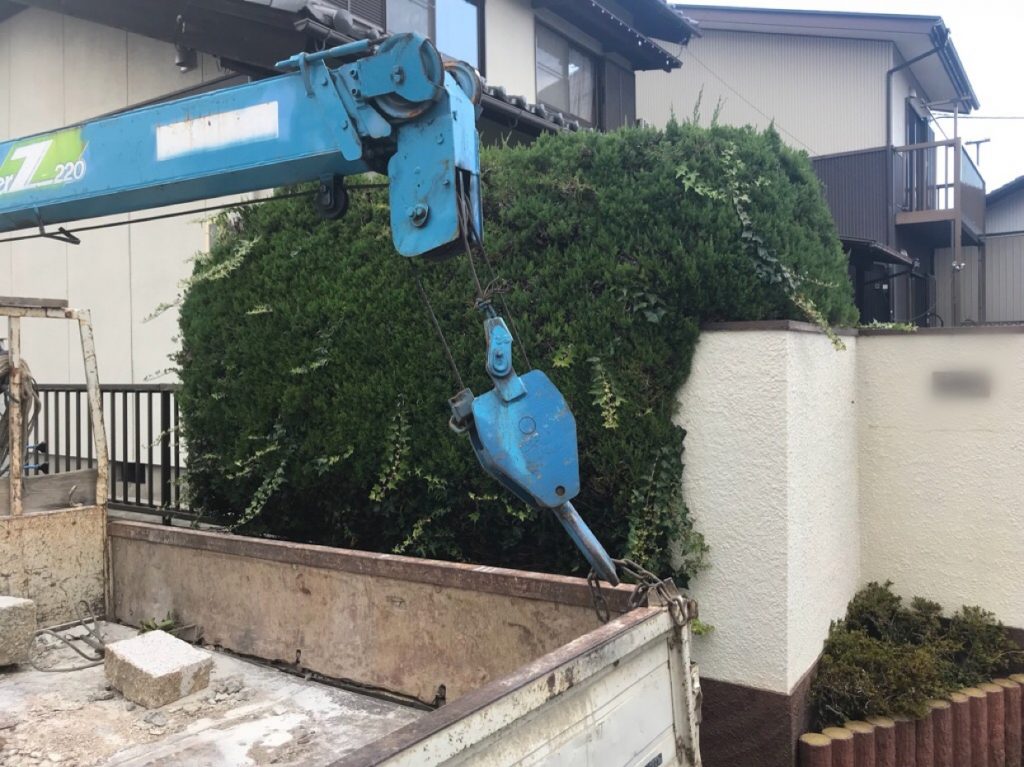 先ほどの現場からすぐの場所でカイズガイブキの生垣撤去です。