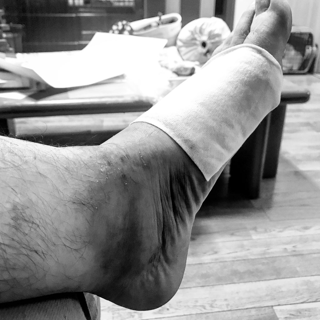 8D4B0249 F7B2 4713 A15F 47C6C33CEAE6