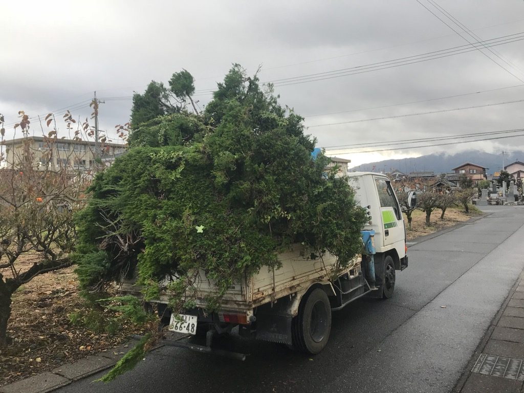 2t車にカイズカイブキ満載です