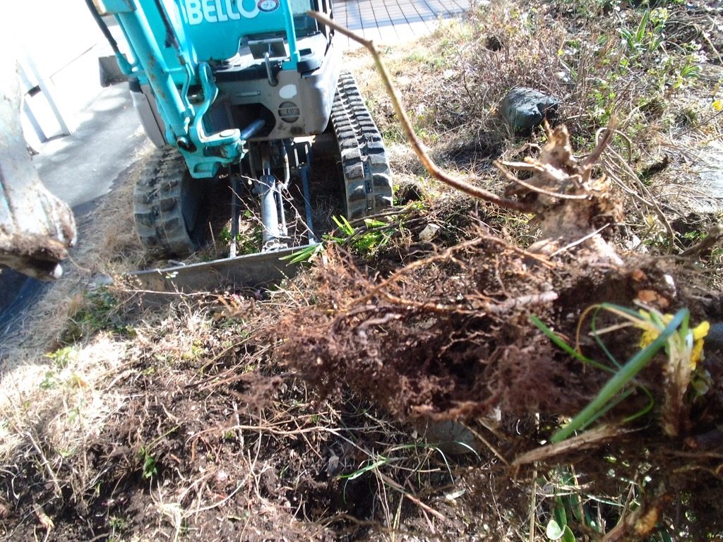 岐阜市庭解体・庭リフォーム工事 part2 ー揖斐川庭石センターblogー 4 地を這うように生えていた芝生や低木、雑草。掻き集めたら結構なボリューム