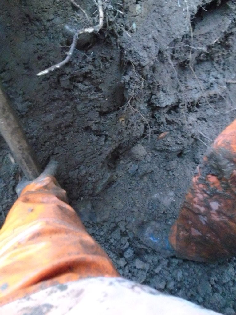 雨が降ってきて、土がぬかるんでいます
