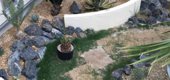 ロックガーデンで後悔しないために！メリット・デメリットを知っておこう！