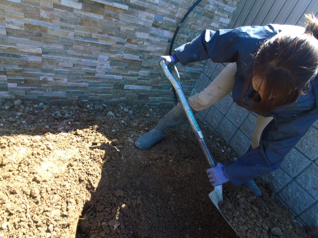 単純な穴掘りですが、腰が入って、いいフォームです。見てて気持ちいいw