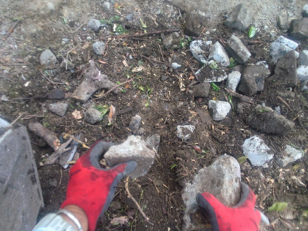 細かいコンガラや根などを手で取ってます