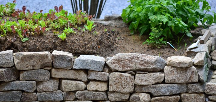 おしゃれな庭のデザインと手入れガイド