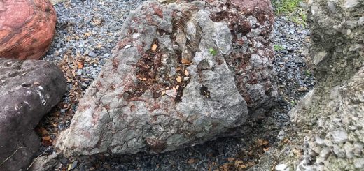 #石紹介 #さざれ石 #赤さざれ石 #珍しい #君が代 #1.6*0.9*0.8m #岐阜県 #庭石 #揖斐川庭石センター #神社