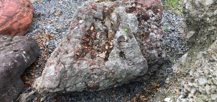 #石紹介 #さざれ石 #赤さざれ石 #珍しい #君が代 #1.6*0.9*0.8m #岐阜県 #庭石 #揖斐川庭石センター #神社