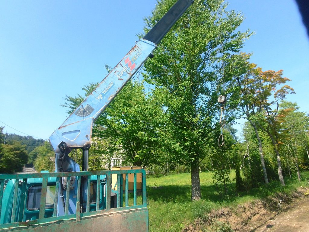 日差しはきつかったけど、木陰に入ると、一気に涼しくなるのは、軽井沢の気候なのか？