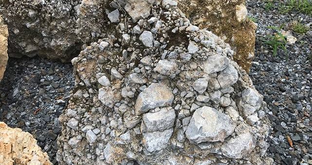 あなたは知っていますか！？さざれ石と国歌の由来を解説