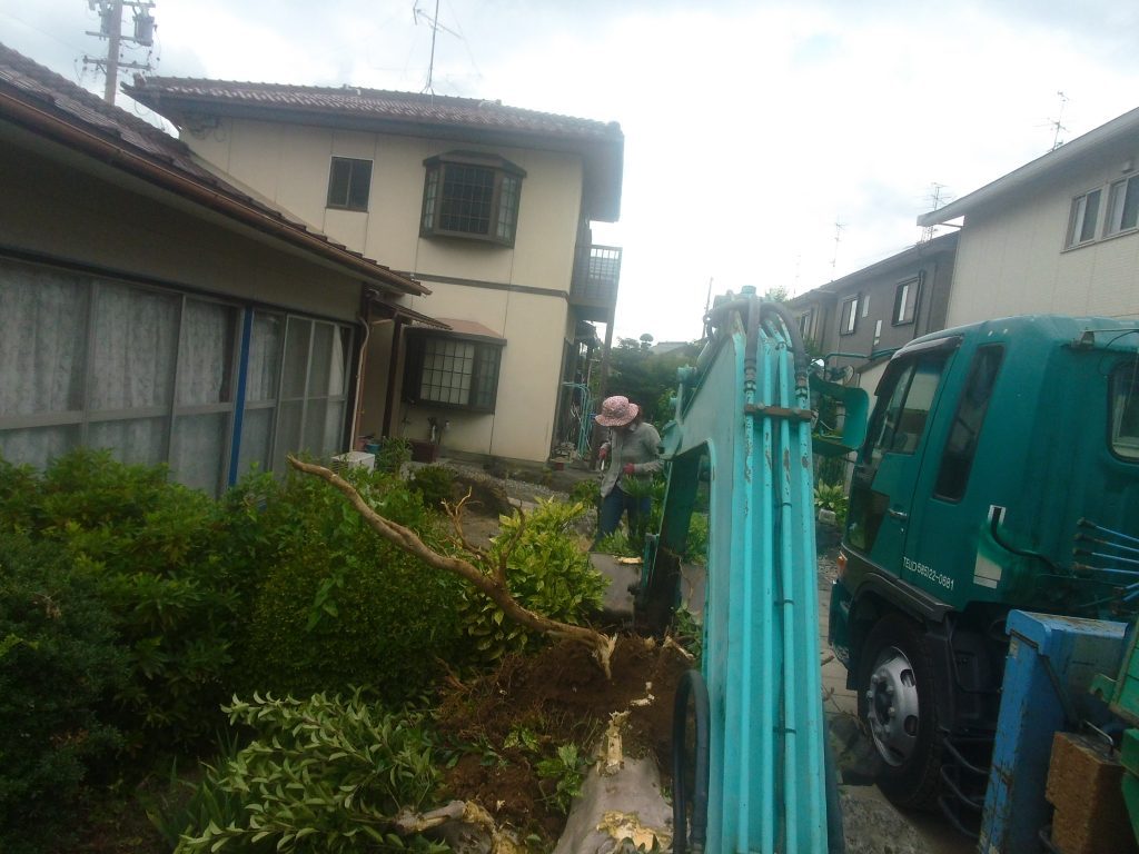 低木やら草本類は、細かいゴミが残るので、手で拾い上げていきます