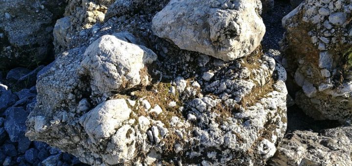 いまさら聞けない！？国歌に含まれるさざれ石の意味とは？