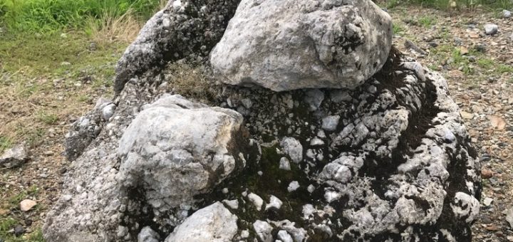 国歌に登場するさざれ石はパワーストーン！？注目のその効果とは