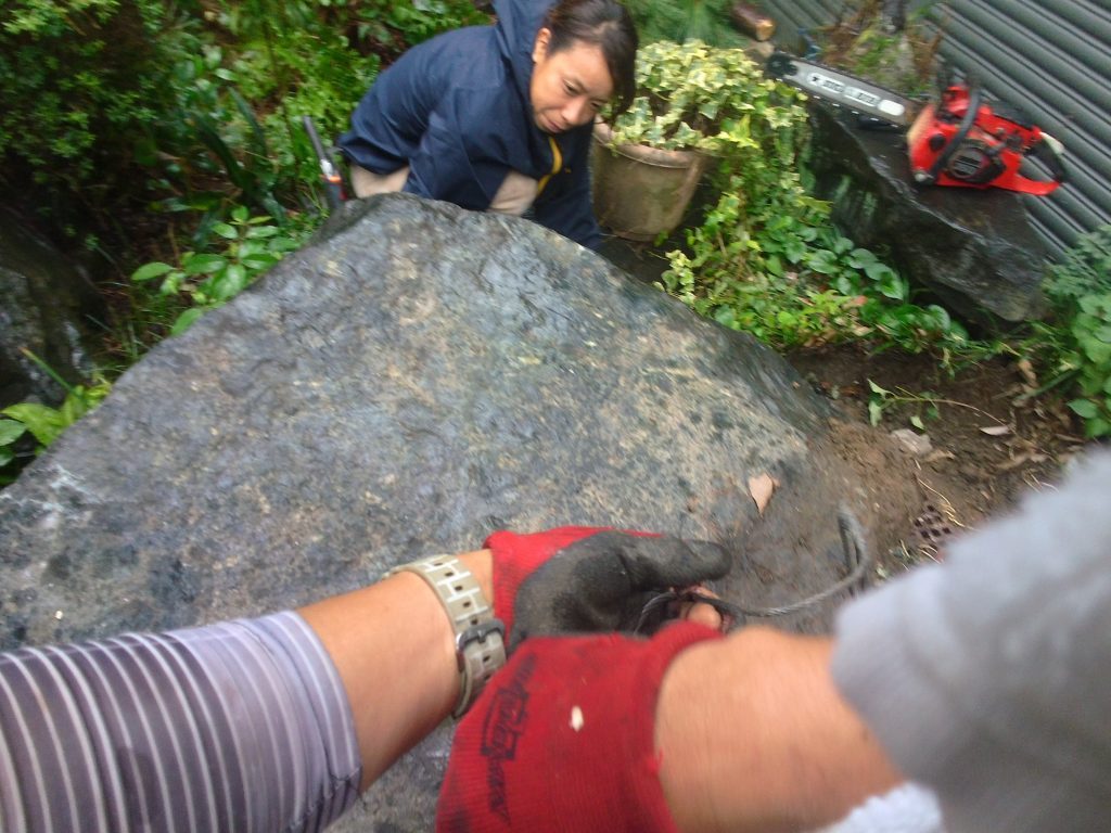 三河地方で庭木・庭石の撤去作業 10 T3971020