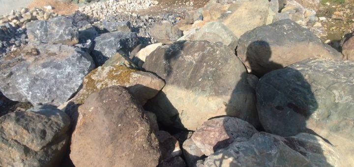 庭を造りたい方必見｜庭石の費用の相場についてご紹介します！