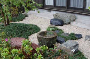 緑に囲まれた水場が、引き立っています