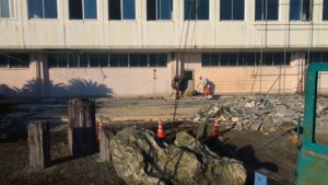 庭石の引き上げ作業