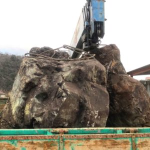 庭石撤去