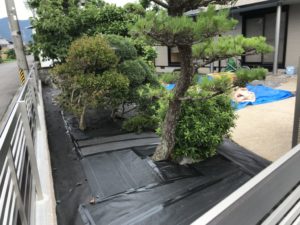 防草シートで地面を覆っています。この上に白川砂利を敷きます