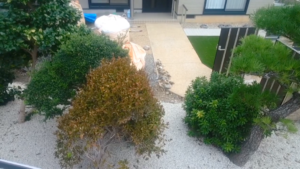 白川砂利を敷かれました