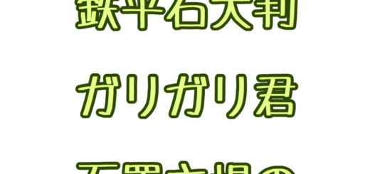 庭石屋の一日の仕事　鉄平石大判・ガリガリ君・石置き場の整備