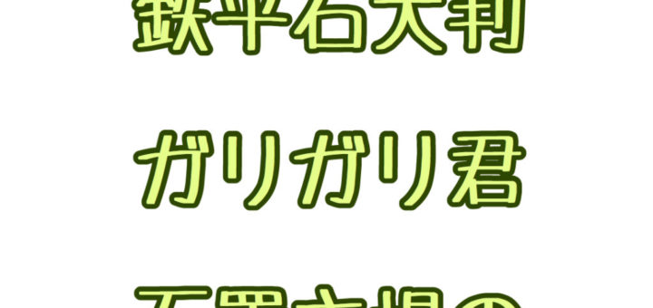 庭石屋の一日の仕事　鉄平石大判・ガリガリ君・石置き場の整備