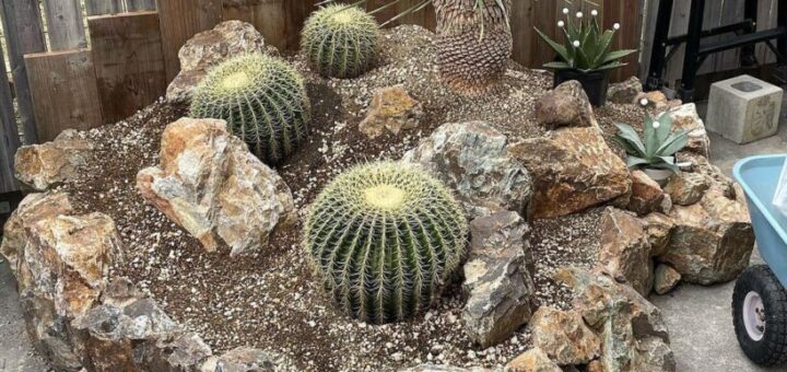 自宅で実現！DIYロックガーデンで理想の庭を作る極意