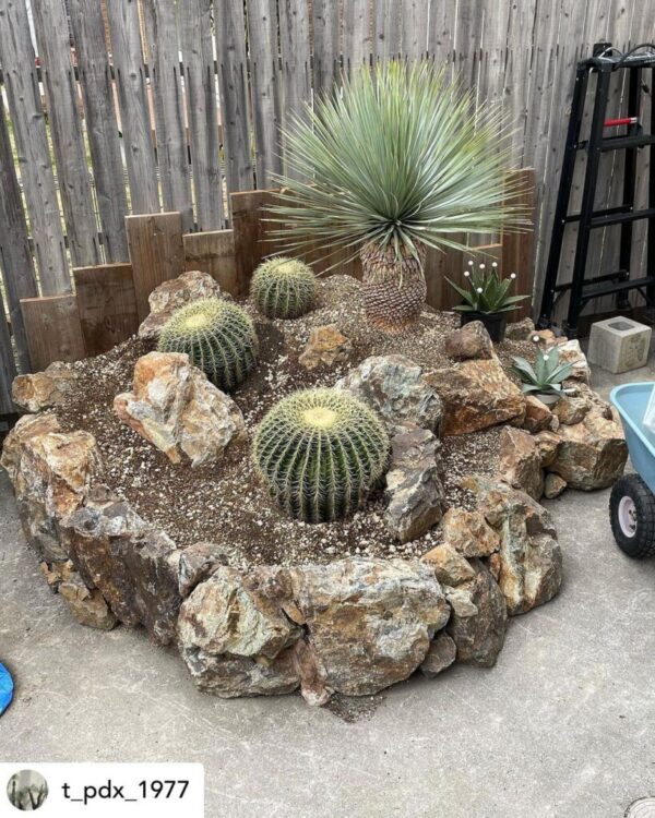 Diyで庭造りで石に興味がある方必見 ロックガーデンについて紹介