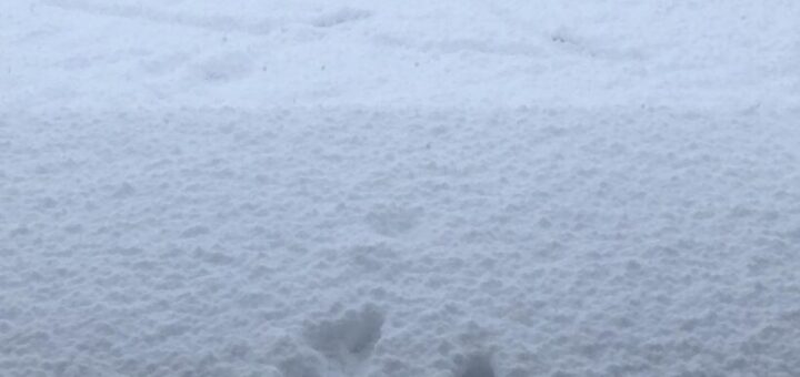 あけましておめでとうございます。 ?? 今年もたくさんの福が?皆さんにありますように。 初詣は⛩もう無理だな だらっとするか?