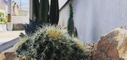 日、ご来店いただいたお客さんが、投稿してくれました。 ありがとうございました。