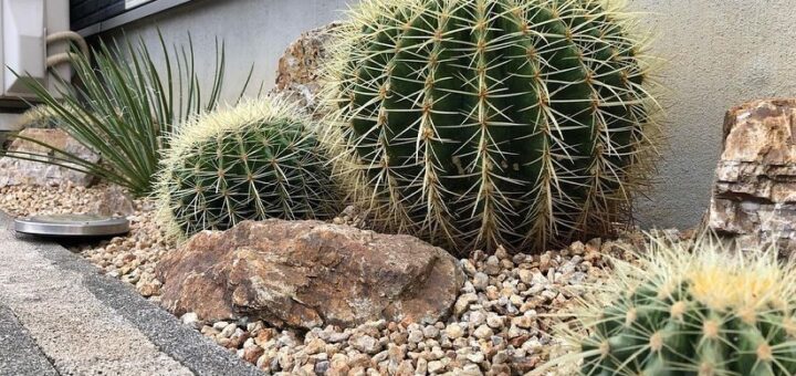 岐阜石割栗石、サビ砂利 をお買い上げ頂いたお客さんが、自邸の建物沿いのスペースに、ロックガーデン をdiy で作られました。